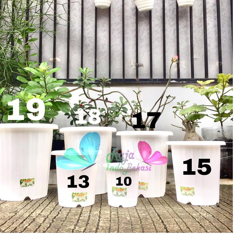 Menarik Pot Yogap Ypt 10 13 15 17 18 19 Putih Coklat Orange Merah Bata Bening Transparan Pot Yogap B