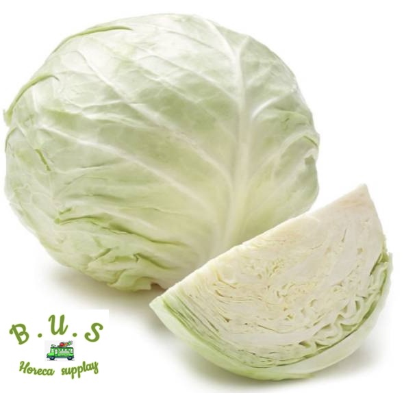 

Kol Putih (0.8-1.3kg/pcs) B.U.S