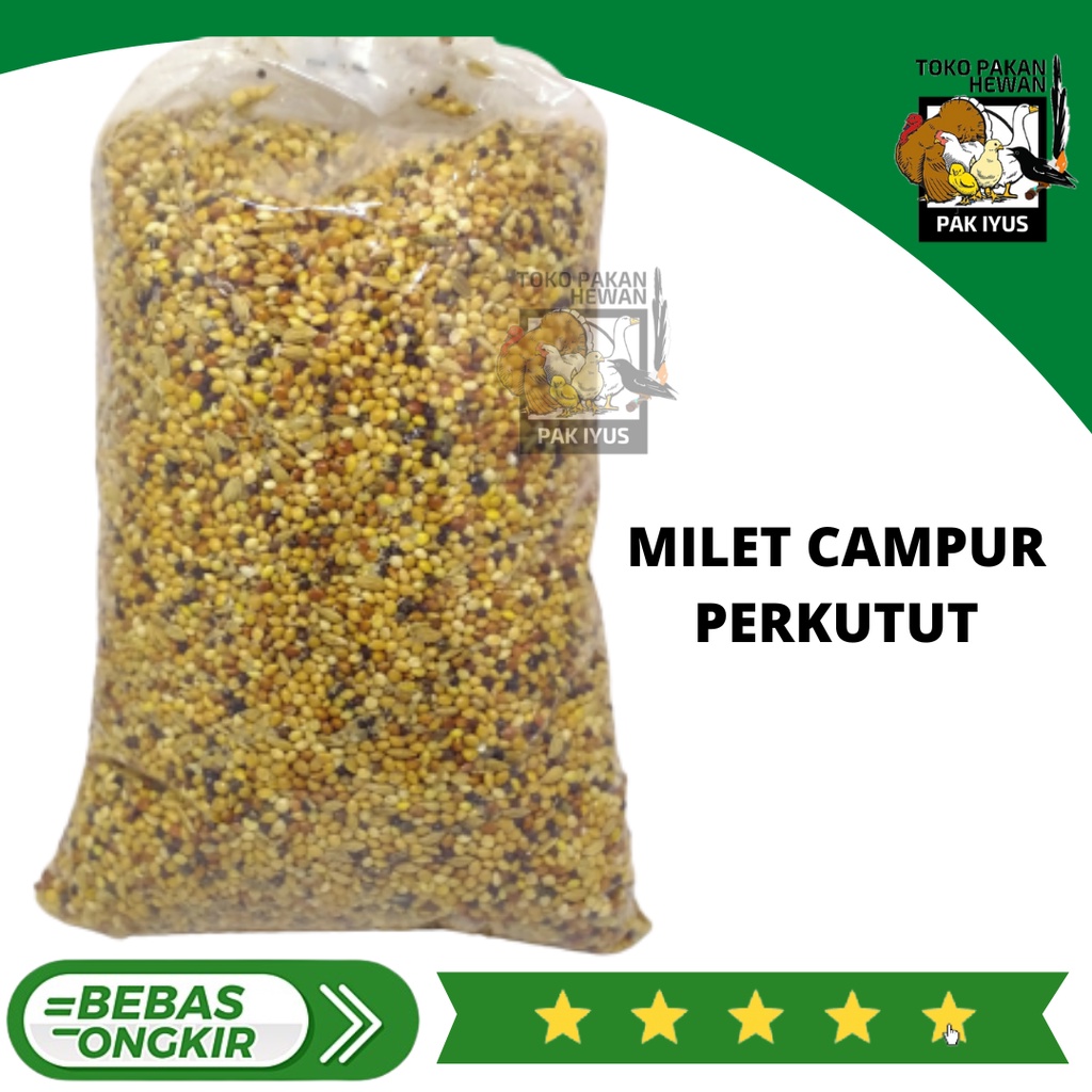 BIJI MILET CAMPUR PERKUTUT PAKAN BURUNG PERKUTUT ATAU HEWAN PEMAKAN BIJI2AN KOMPOSISI MILET PUTIH MI