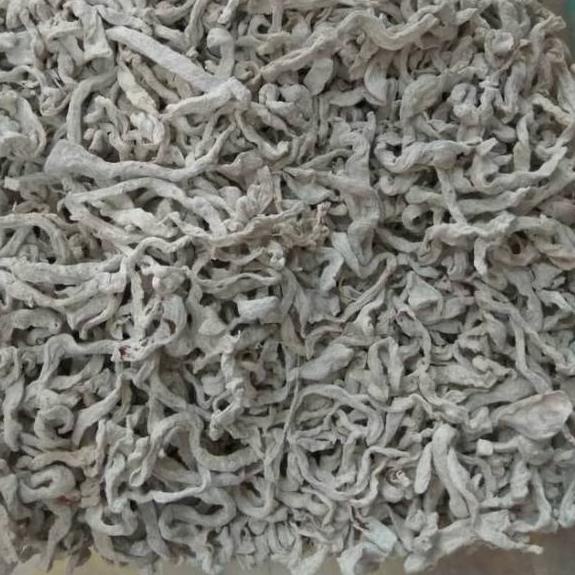 

PROMO HARI INI Manisan Mangga Putih 200gr grosir