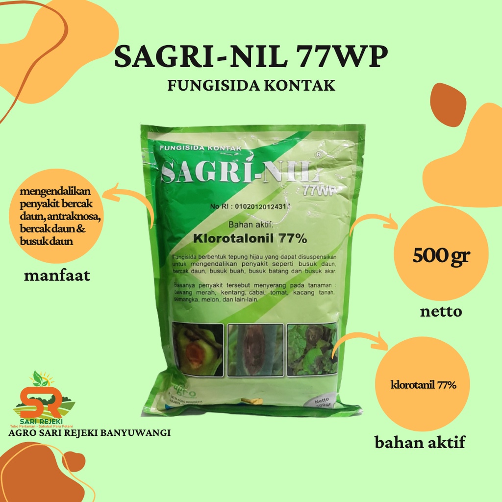 Tennischilarning tasiri va soxta porno