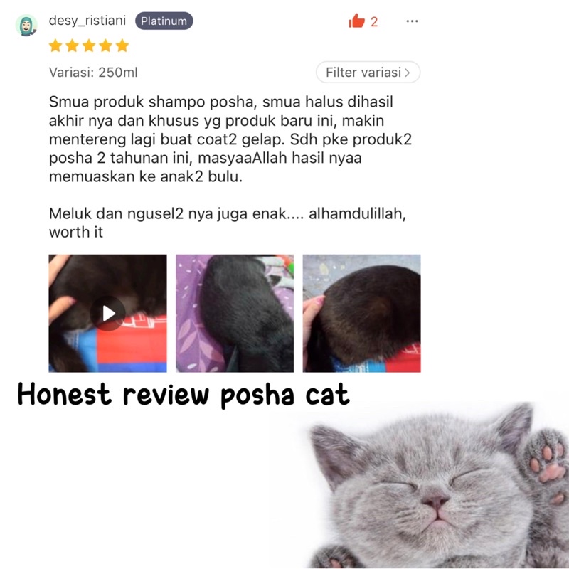 Posha_cat Dark shiny shampoo kucing | shampo kucing warna gelap | atasi kusam | shampo kucing hitam