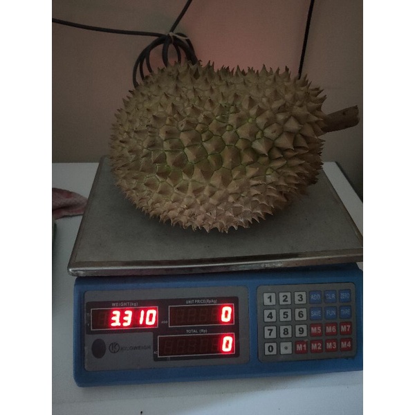 Durian Montong Palu Utuh Fresh Per buah