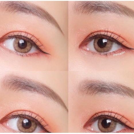 SOFTLENS KITTY KAWAII MINI SHEER BROWN & GREY