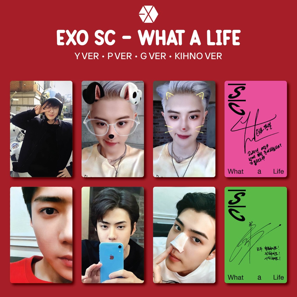 [REPLIKA] EXO SC - WHAT A LIFE