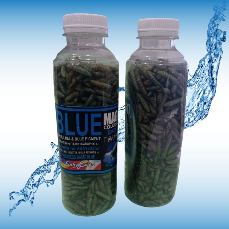 Makanan Ikan chana FISH LOVER MAGGOT BOTOL Red Blue Yellow 60gr