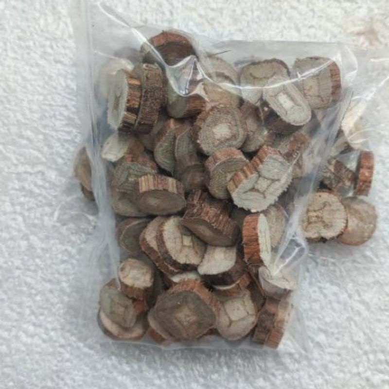 

50pcs tatakan Moss Aquascape ukuran kecil