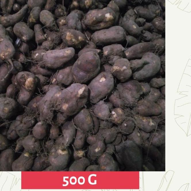 

Import ✨Terbaik✨ 「LVS」 Kentang Hitam / Kentang Ireng / Klici / Kembili / Sabrang/Kentang Jenggot/Kentang Bulu !