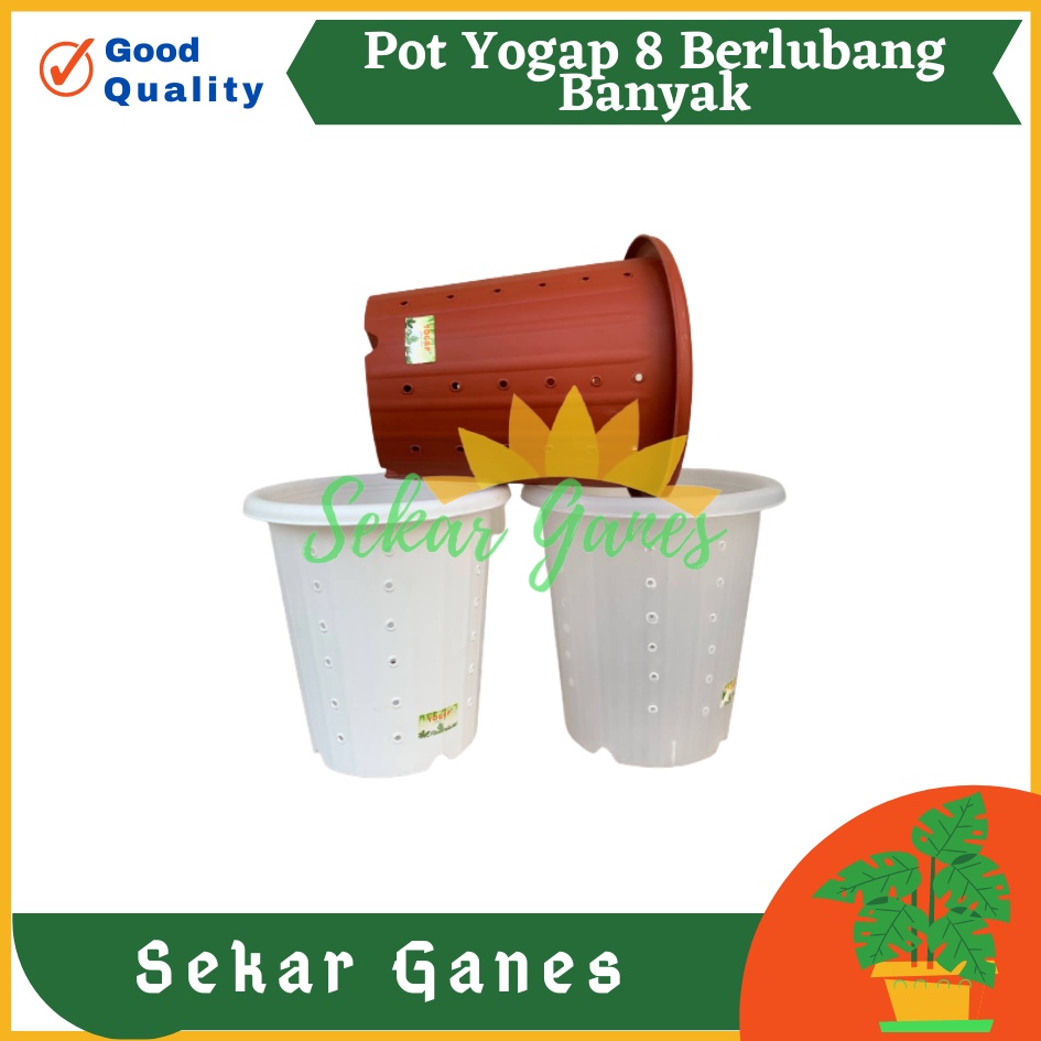 PROMO Pot Yogap 8 BERLUBANG Putih Bening Transparan Merah Bata Merah Coklat Terracota Terracotta-POT BUNGA YOGAP YPT 13 BERLUBANG BENING / TRANSPARAN PUTIH &amp; MERAH BATA | POT TANAMAN HIAS