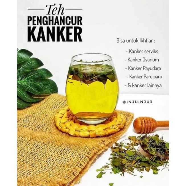 

DAUN KELOR SEGAR 1 IKAT