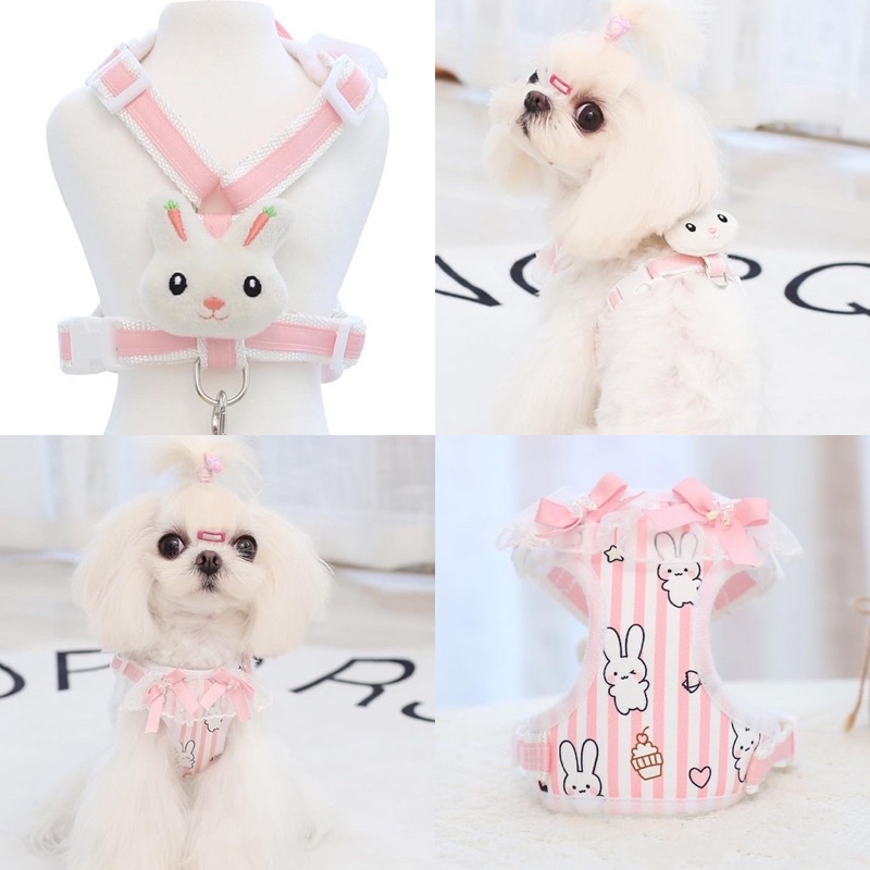 Byby kyo bunny dolly harness set