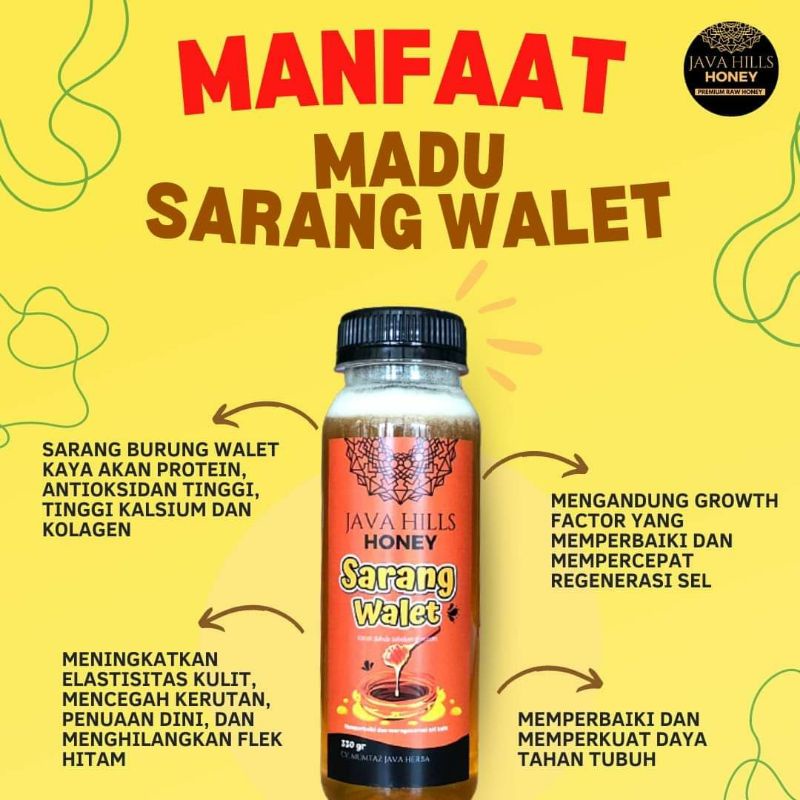 madu sarang walet