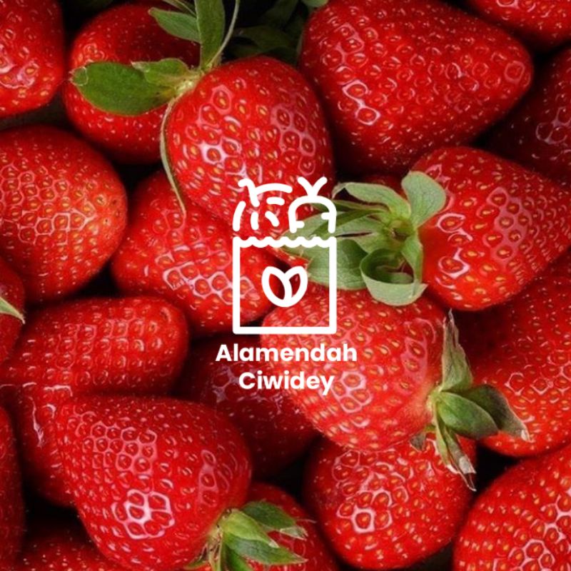 

STRAWBERRY SEGAR 1KG LANGSUNG DARI PETANI CIWIDEY BANDUNG