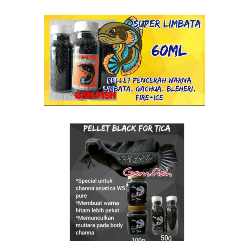 pelet channa limbata asiatica asagi black for tica pakan channa asiatica ws pure asiatica white spot