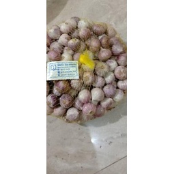 

✨STAR✨ Bawang putih tunggal/lanang sedang 1kg impor# grosir