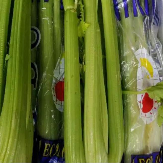 

FREE ONGKIR!Seledri Batang Import Cina/Celery Stick Import Cina 1 kg|RA8