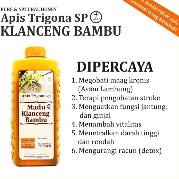 

Stok terbatas! MADU KLANCENG BAMBU ASLI MURNI 100% Lebah Apis Trigona, WILD BEE 89A
