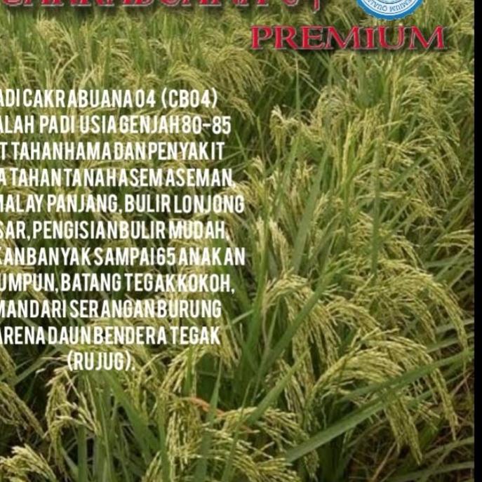 ☎ benih padi cakrabuana 04 5kg original 𝕬