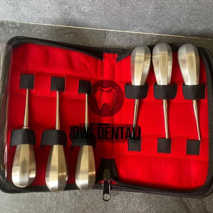 Dental Root Elevator Luxator / Instrument Bein Elevator Schezher Set