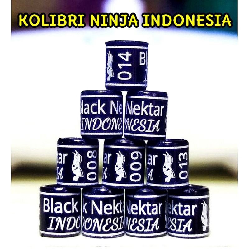 RING BURUNG KONIN NEW EDITION