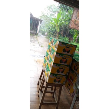 

mangga alpukat BANGIL