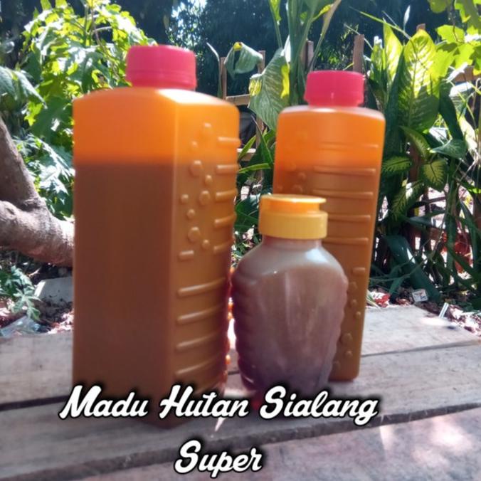 

BIG SALE MADU SIALANG SUPER 1KG SALE