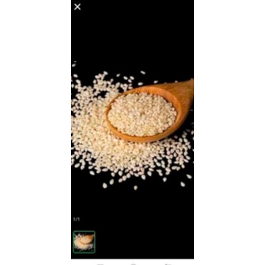 biji wijen putih 250 gr