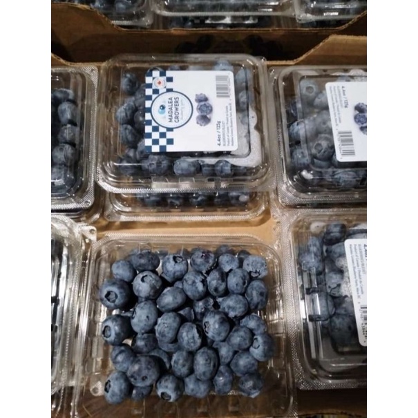 

bluberry fresh canada 125 gr