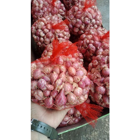 

bawang merah