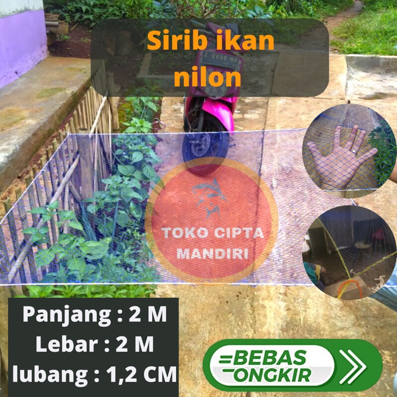 anco ikan sirib ikan perangkap ikan sirib ikan nilon 2x2