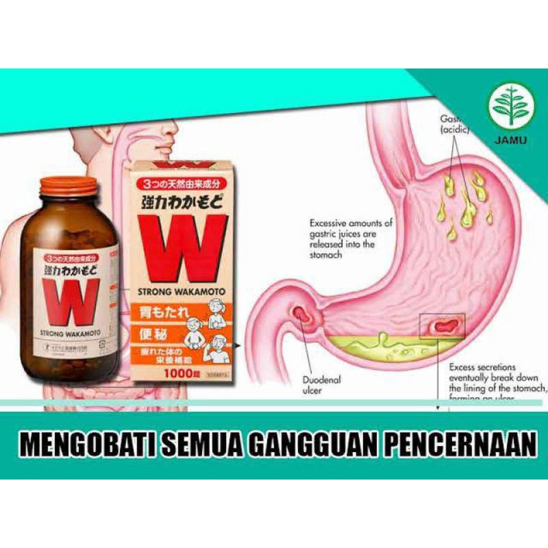 Wakamoto strong 1000 tablet original Japan | obat pencernaan obat maag obat lambung