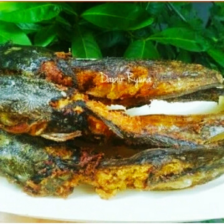 

LELE GORENG dadakan 500 gram