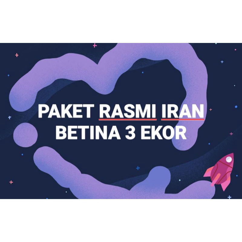 PAKET KENARI RASMI IRAN BETINA (01)