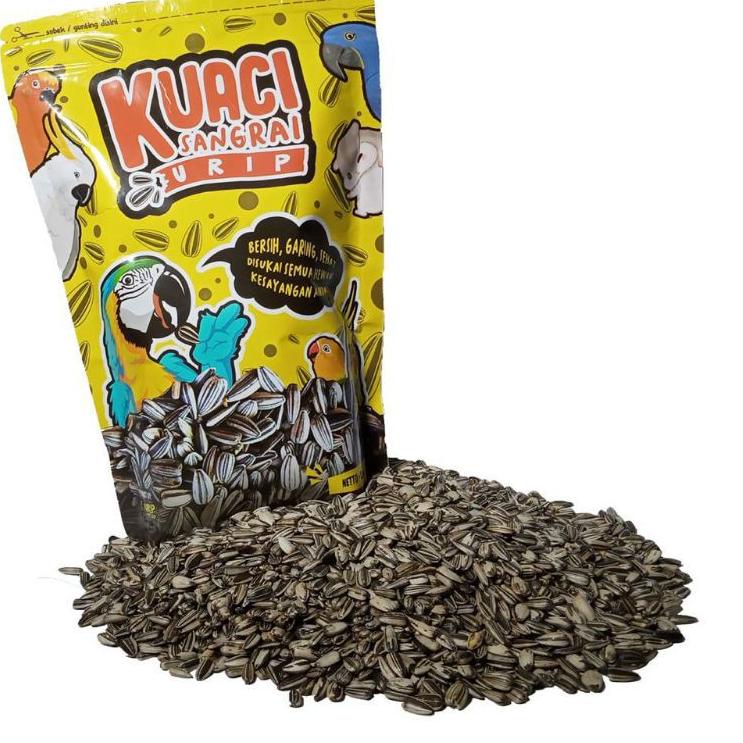 

Hot Product--KWACI SANGRAI URIP KECIL UNTUK SUNCONURE, LOVEBORD, PARKIT DLL