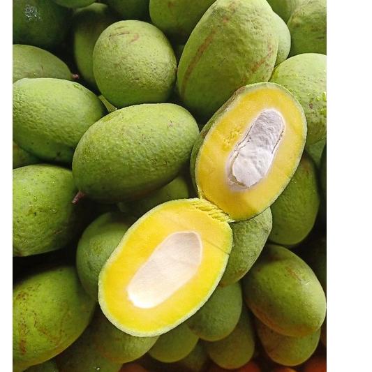 

Ready Stok BUAH MANGGA KWENI MANIS SEGAR MURAH HARGA PERKILO 1 KG