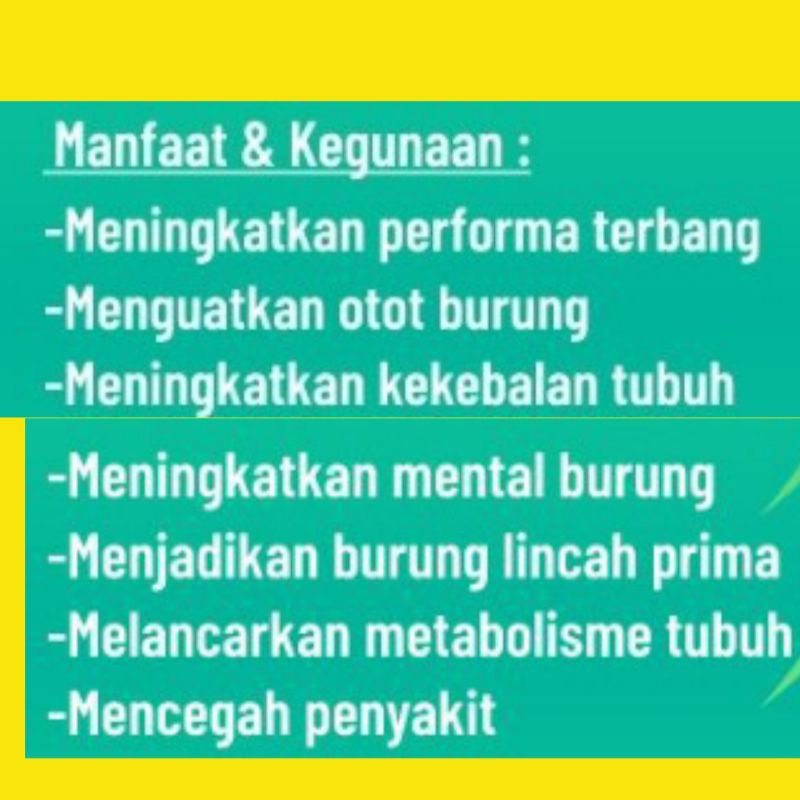 Jamu Merpati Black Master  isi 100 butir