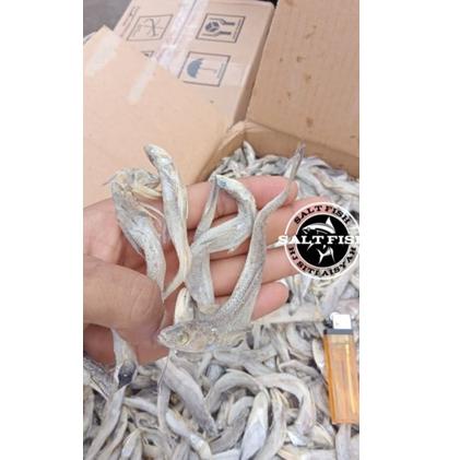 

CSR7d7C--ikan asin kacangan kering ; 1kg best seler