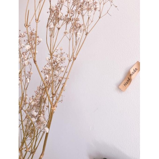 DRIED BABYBREATH BUNCH SATU IKAT