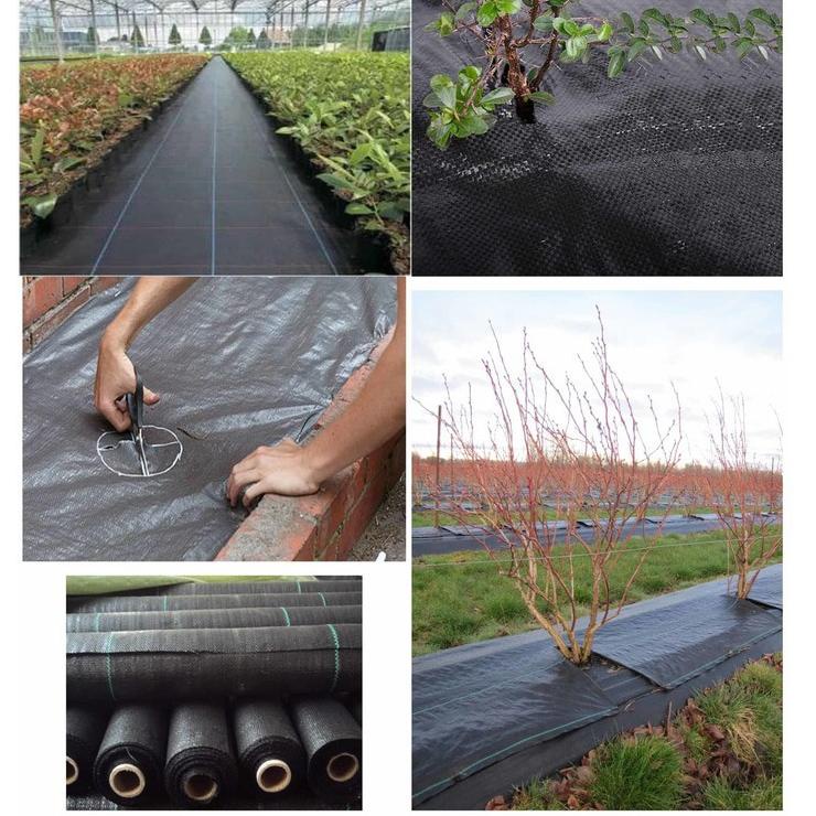 ㊋X Weedmat Lebar 4 Meter Control Easy Grow Terpal Green House Meteran Woven Fabric Anti UV Weed Mat 