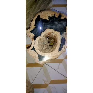 batu forsil estentik