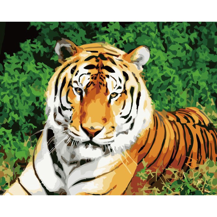 

Cuci Gudang Paint By Number - Diy Art Set Canvas - Resting Tiger - 50 X 40 Cm Sale!!!