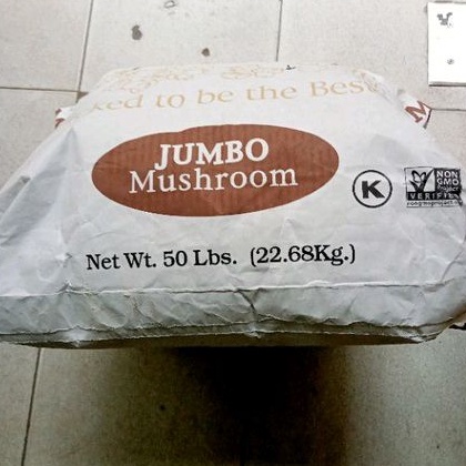 

RB jagung musrom jagung popcorn jumbo