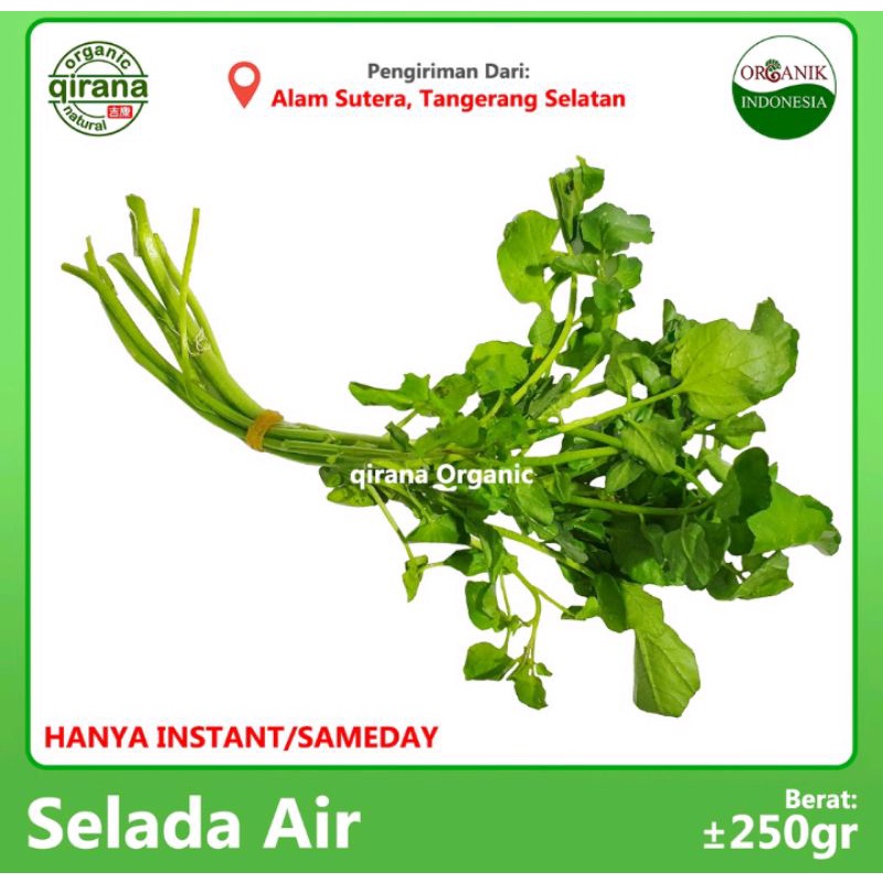 

Selada Air Organik 250g
