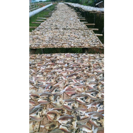 

Ikan Asin Belahan Campur