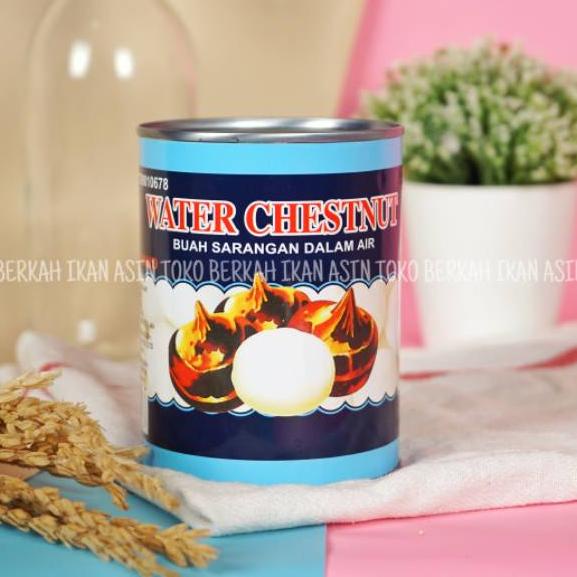 

Discount Today Red Boat Water Chestnut 567gr / Buah Sarangan Dalam Air serbuuu !