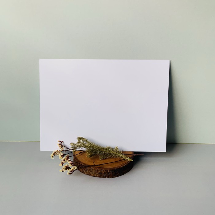 

Star Cardmaking: Blank Card (Flat)/Kartu Polos- Isi 10 (White) Berkualitas