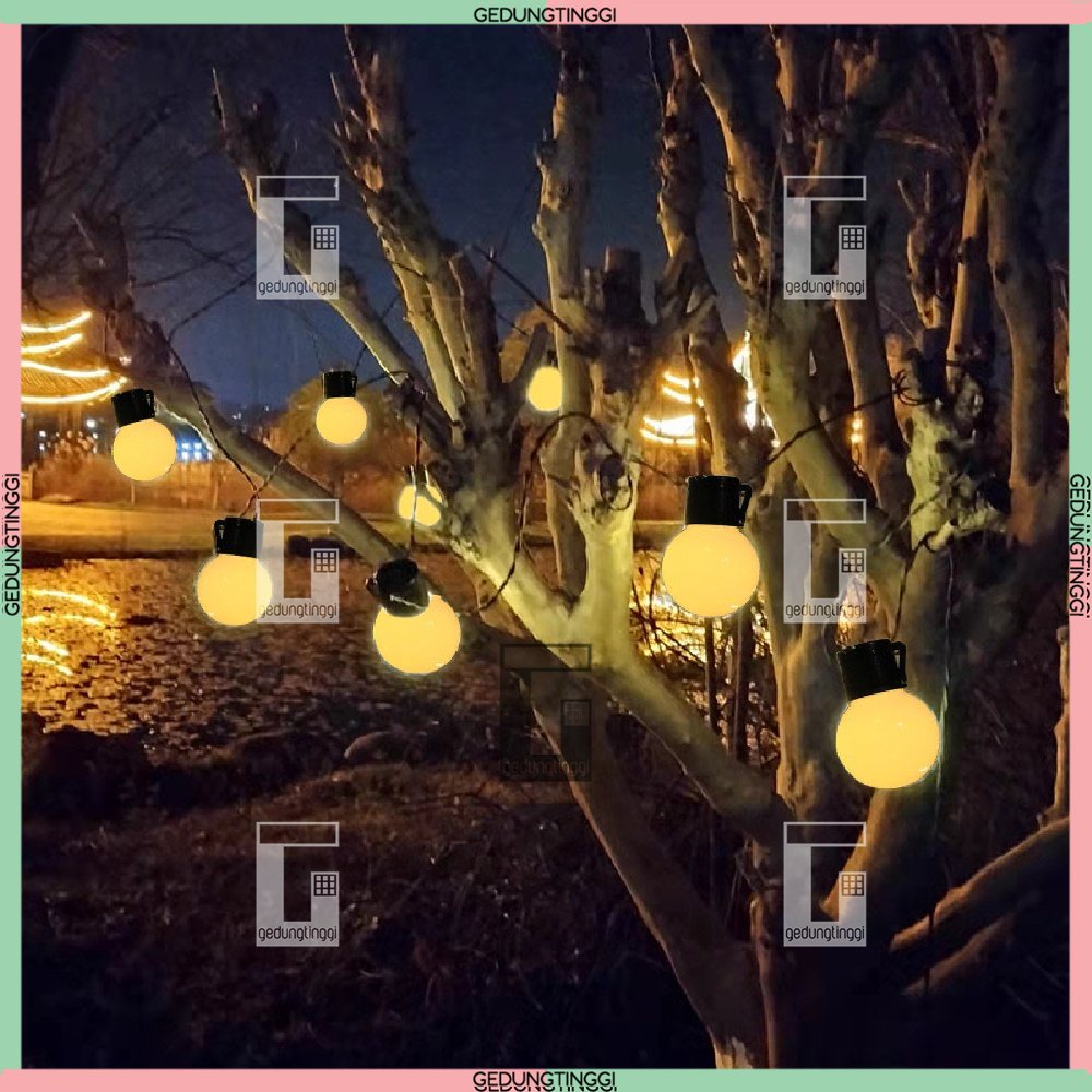 Lampu Bohlam Bolam Led Lid Let Tumbler Tmblr Hias Hiasan Dekorasi Natal Kaca Kayu Gantung Dinding Plafon Ruang Tamu Rumah Meja Kamar Teras Taman Malam Kafe Cafe Backdrop Lamaran Pelaminan Wedding Warna Warm White Tahan Anti Kedap Air Pvc Light Lamp 12v 5v