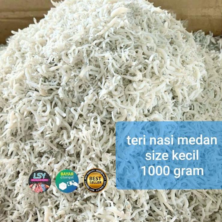 

10.10 STOK READY ikan asin teri nasi medan size kecil 1 kg 