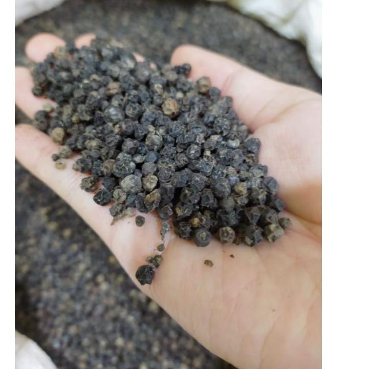 

Spesial disini--Biji Lada Hitam 250G Grade A Dijamin Super Pedas