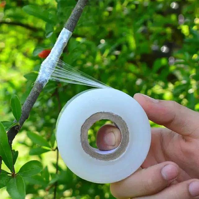 Alat Okulasi Tanaman Grafting Tape Peralatan Cangkok Tanaman Plastik Okulasi &amp; Pisau Okulasi Tanaman